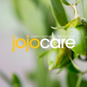 Jojocare logo over green jojoba leaves, web design by Inversit