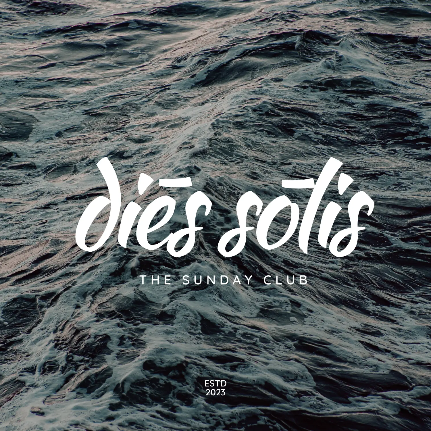 Branding Inversit Design Agency Dies Solis